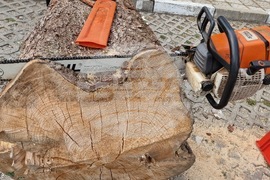 Самоков - карвинг фестивал - откриване