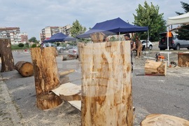 Самоков - карвинг фестивал - откриване