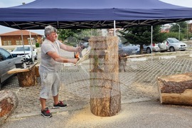 Самоков - карвинг фестивал - откриване