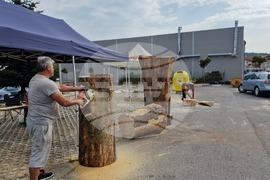 Самоков - карвинг фестивал - откриване