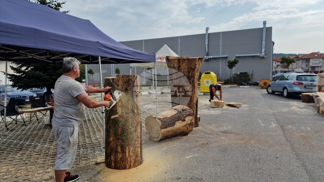 Самоков - карвинг фестивал - откриване