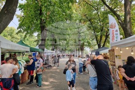 Видин - занаятчийски базар - фестивал „Синия Дунав“