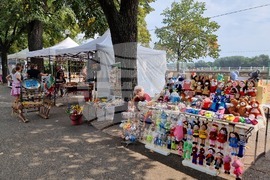 Видин - занаятчийски базар - фестивал „Синия Дунав“
