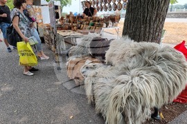 Видин - занаятчийски базар - фестивал „Синия Дунав“