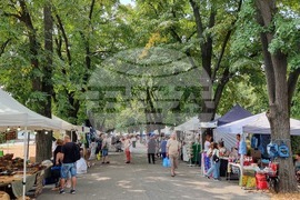 Видин - занаятчийски базар - фестивал „Синия Дунав“