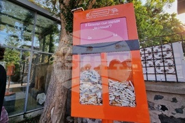 Созопол - "Аполония" 2024 - цигарени фасове - инициатива