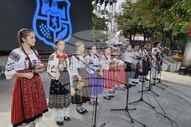 Видин - „Синия Дунав“ - международен фолклорен фестивал