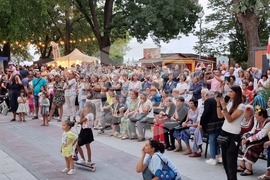 Видин - „Синия Дунав“ - международен фолклорен фестивал