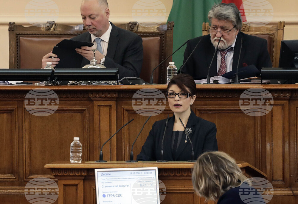 Парламент - заседание - Десислава Атанасова