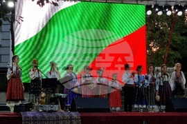 Видин - „Синия Дунав“ - международен фолклорен фестивал