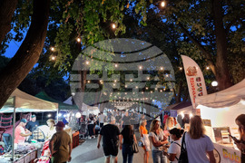 Видин - „Синия Дунав“ - международен фолклорен фестивал