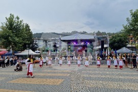 Неделино - фолклорен фестивал