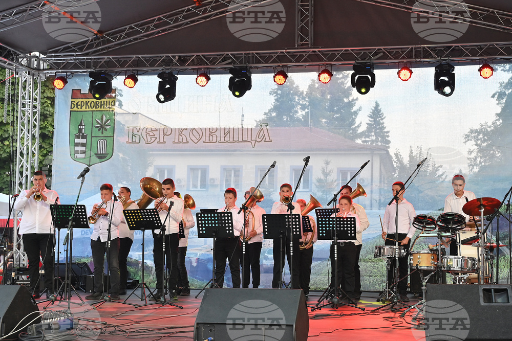 Берковица - Духова музика - фестивал
