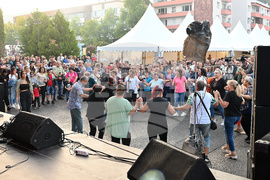 Берковица - Духова музика - фестивал