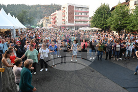 Берковица - Духова музика - фестивал