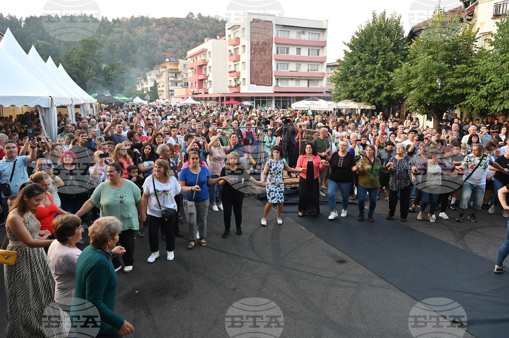 Берковица - Духова музика - фестивал