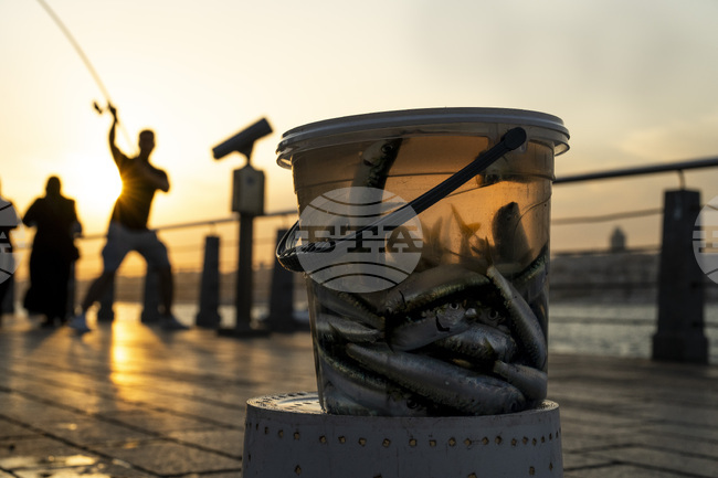 Замърсителите на околната среда в Турция са получили 312 млн. евро глоби през последните пет месеца