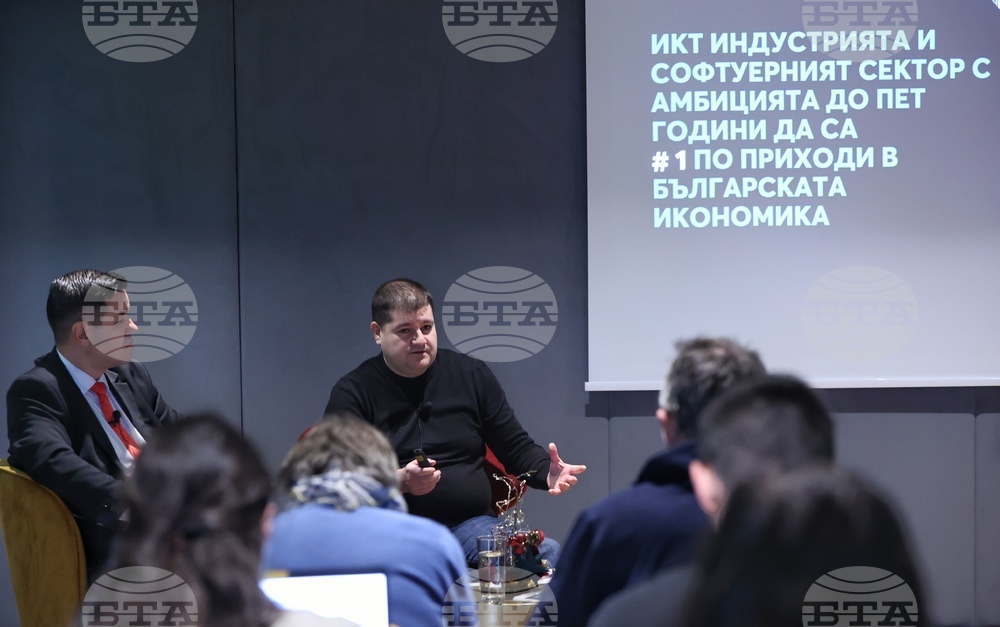 Software Sector, ICT Industry Have Potential to Be Leaders in Bulgaria's Economy Within Five Years