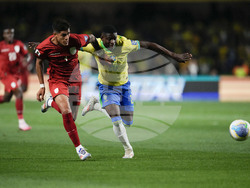 Brazil Ecuador Wcup 2026 Soccer