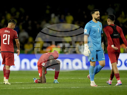 Brazil Ecuador Wcup 2026 Soccer