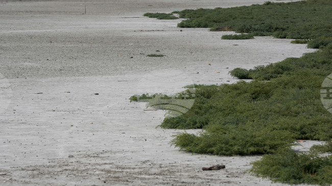 Нивото на язовирите, които захранват Истанбул, е спаднало под 22 процента през ноември 