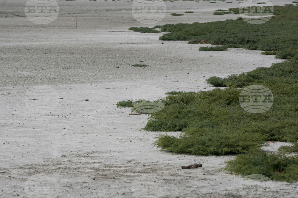 Нивото на язовирите, които захранват Истанбул, е спаднало под 22 процента през ноември 