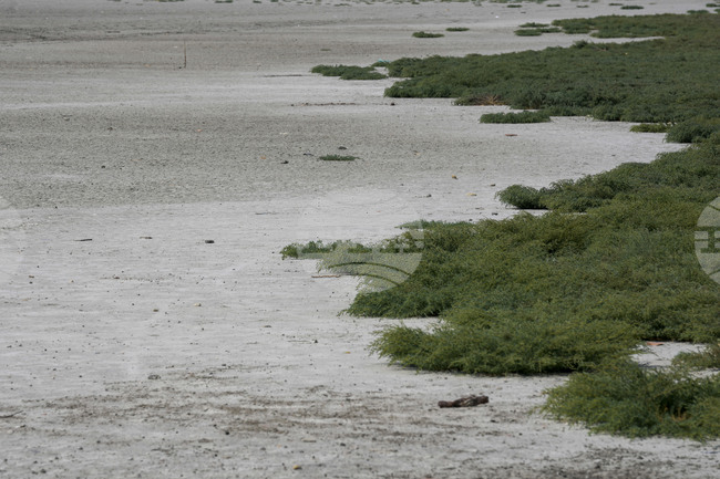 Нивото на язовирите, които захранват Истанбул, е спаднало под 22 процента през ноември 