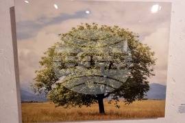 Република Северна Македония - Скопие - изложба ХХL