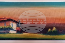 Берковица - Симеон Димитров - изложба