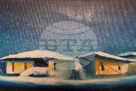 Берковица - Симеон Димитров - изложба