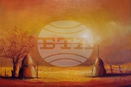 Берковица - Симеон Димитров - изложба