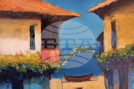 Берковица - Симеон Димитров - изложба