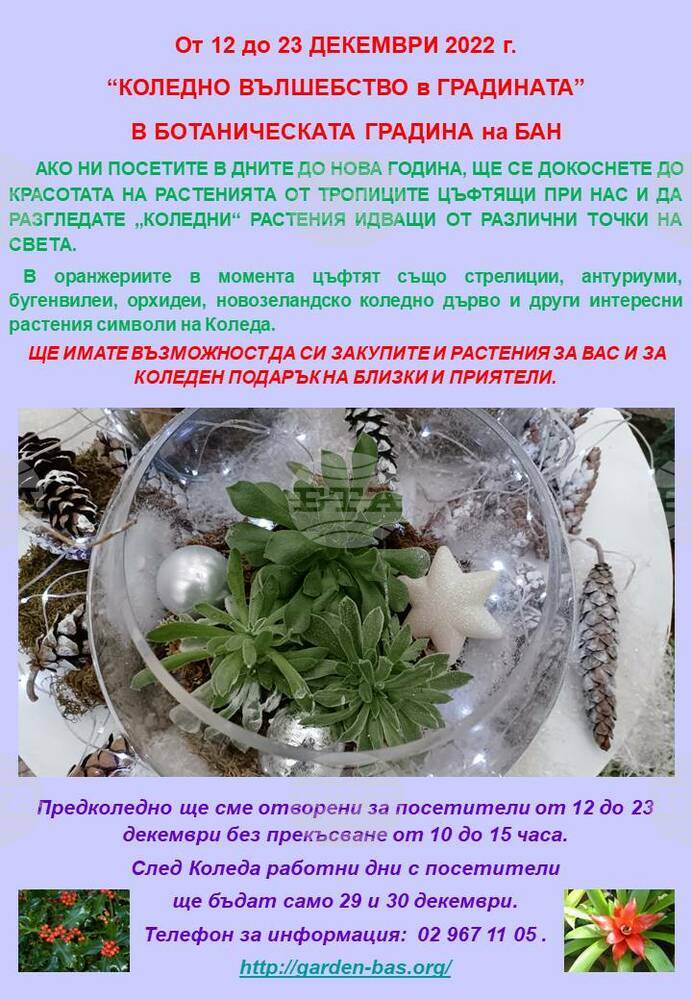 "Коледно вълшебство в градината” пресъздават в Ботаническата градина на БАН до 23 декември