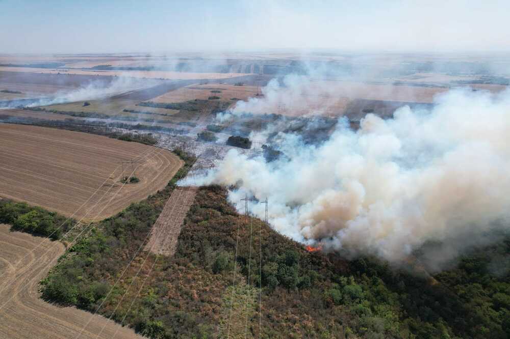 Очаква се пожарът между Мизия и с. Войводово да бъде овладян скоро