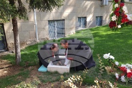 Плевен - Медицински университет - учебна година