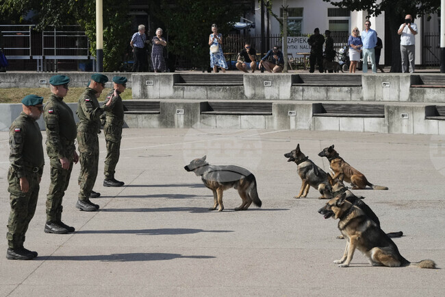 Полша ще получи 43,7 милиарда евро по програмата за действия в областта на европейската сигурност