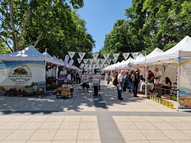 Поредно издание на традиционния фермерски пазар организира Община Монтана на 15 септември