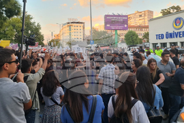 Турция - убийство - протест