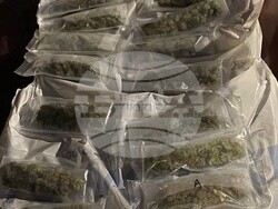 Снимка: Пресцентър МВР - Близо 2 кг марихуана иззеха при спецоперация полицаи от Трето РУ – СДВР 