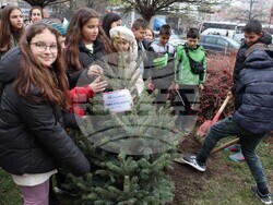 Снимка: Община Хасково - Хасково почете днес 178 години от рождението на Капитан Петко Войвода