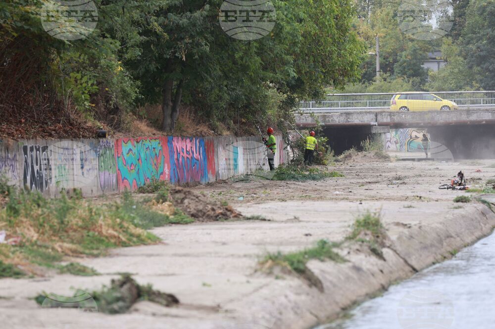 Речно корито - почистване