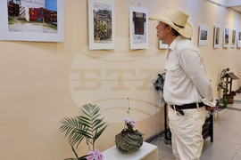 Варна - изложба икебана и хайга