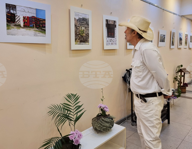 Варна - изложба икебана и хайга