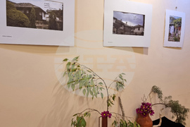 Варна - изложба икебана и хайга