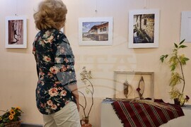 Варна - изложба икебана и хайга