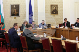 Парламент - Временна комисия за разглеждане на въпросите с недостига и високите цени на дървата