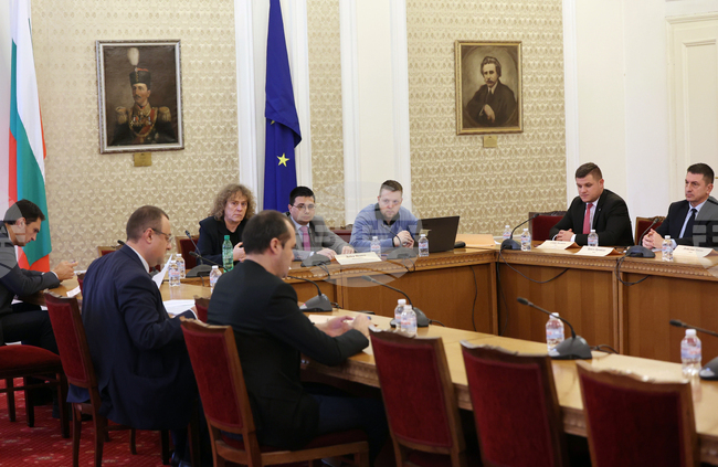 Парламент - Временна комисия за разглеждане на въпросите с недостига и високите цени на дървата 