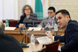 Парламент - Временна комисия за разглеждане на въпросите с недостига и високите цени на дървата  - Никола Стоянов