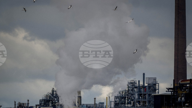 Главният изпълнителен директор на БАСФ не прогнозира процес на деиндустриализация в Германия