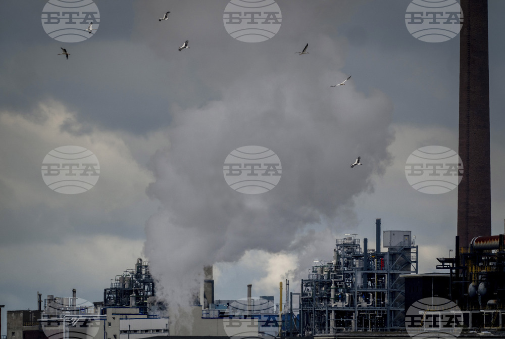 Главният изпълнителен директор на БАСФ не прогнозира процес на деиндустриализация в Германия